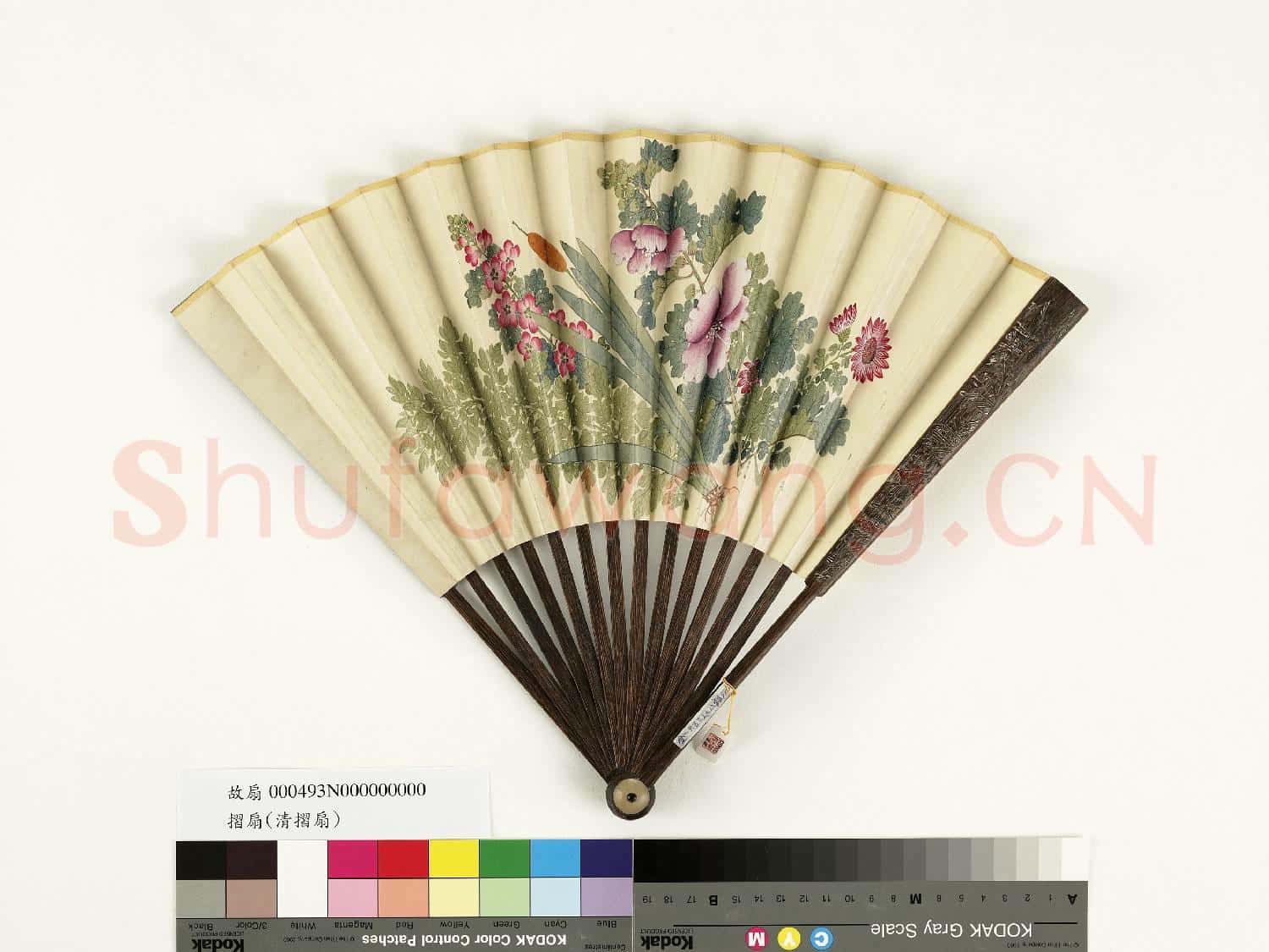清人花卉 成扇