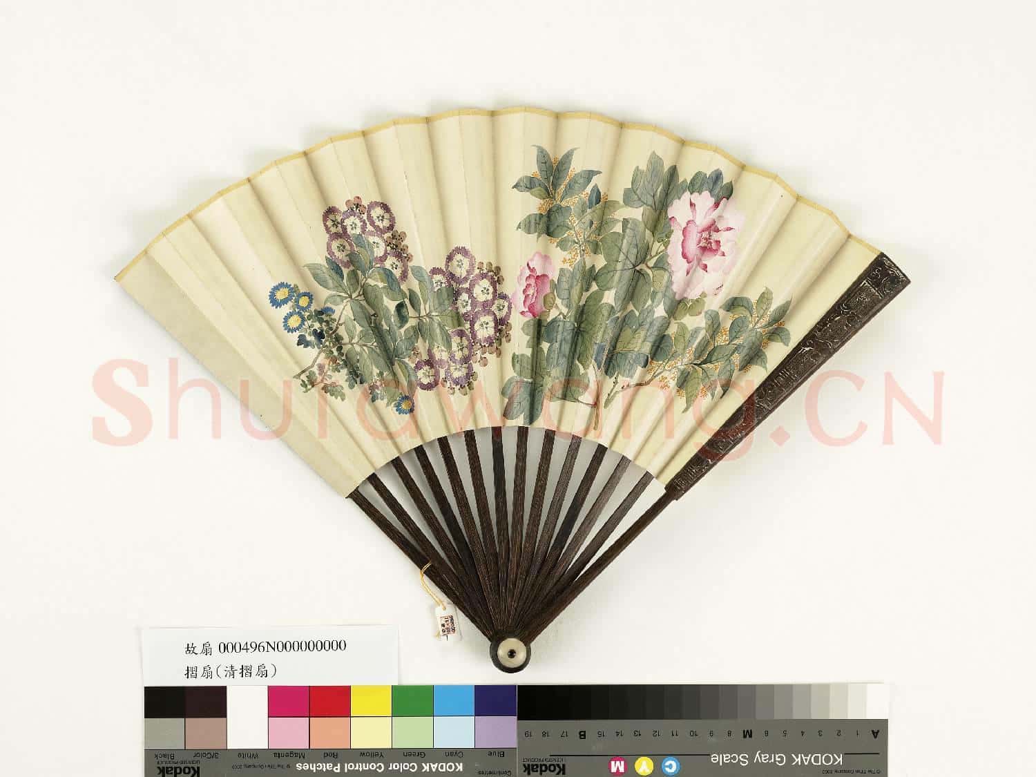 清人花卉 成扇