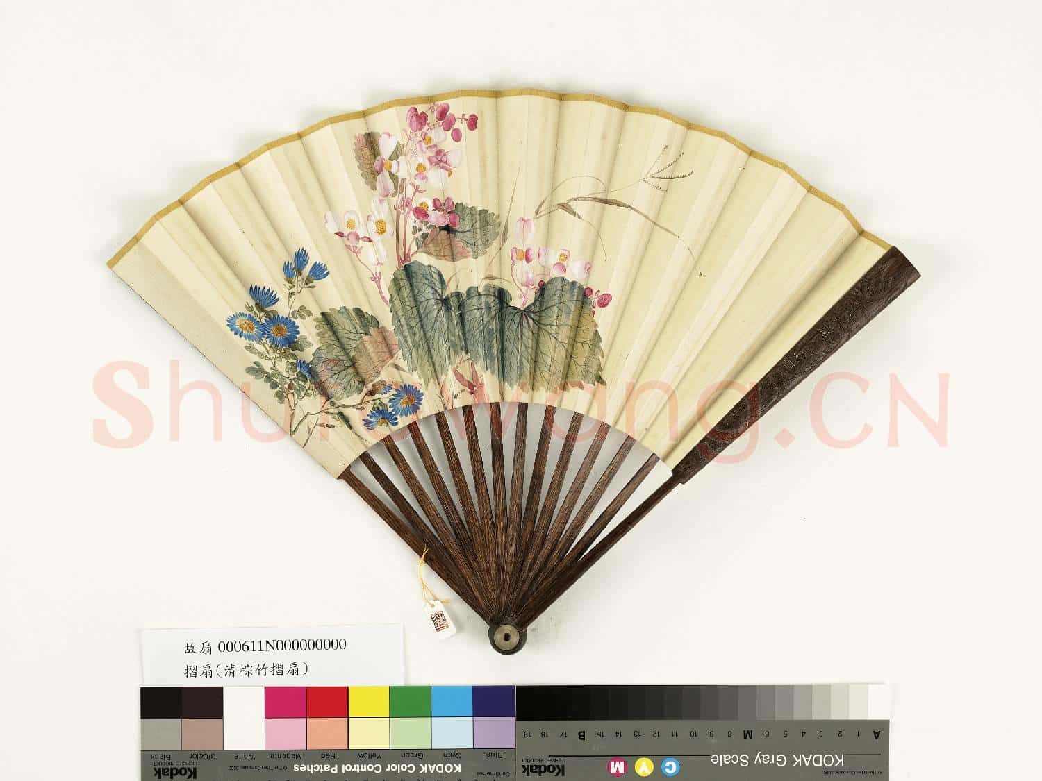 清人花卉 成扇