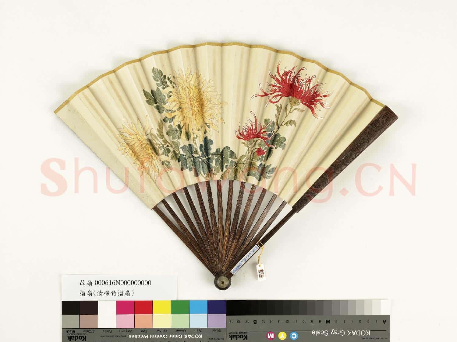 清人花卉 成扇
