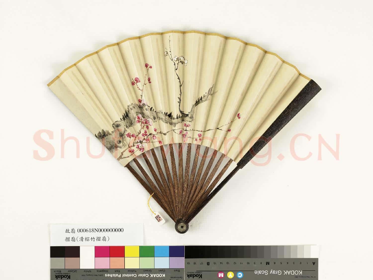 清人花卉 成扇