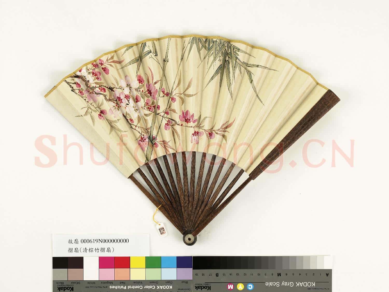 清人花卉 成扇