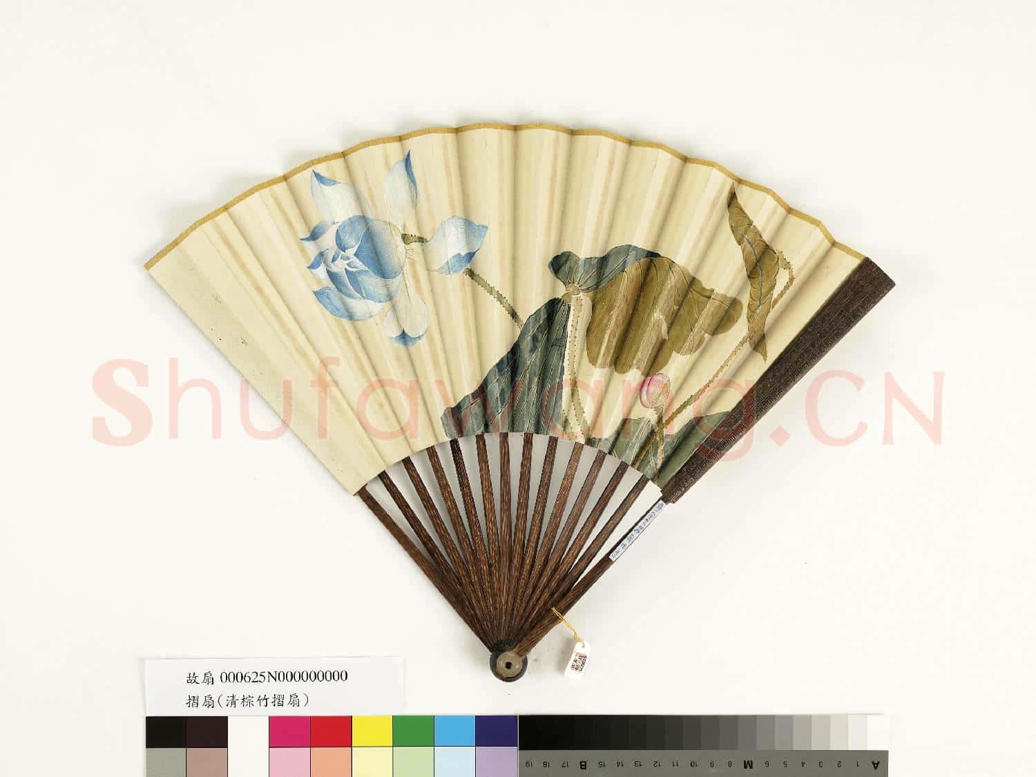 清人花卉 成扇