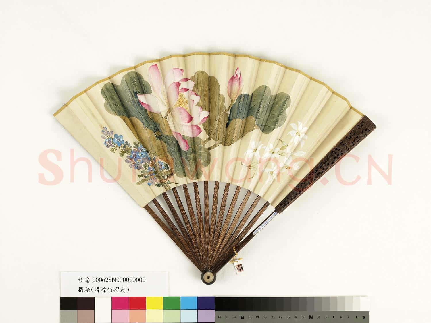 清人花卉 成扇