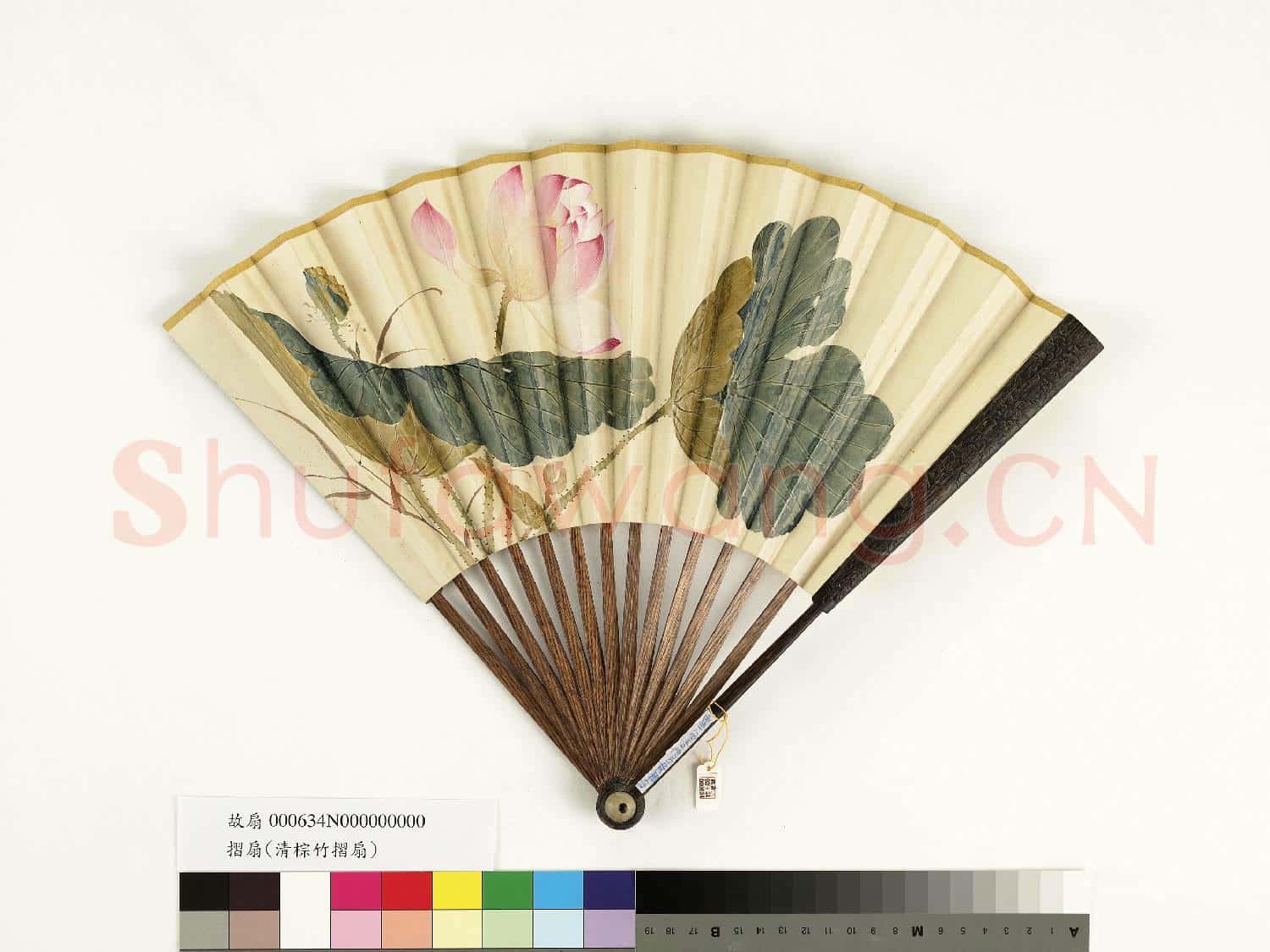 清人花卉 成扇