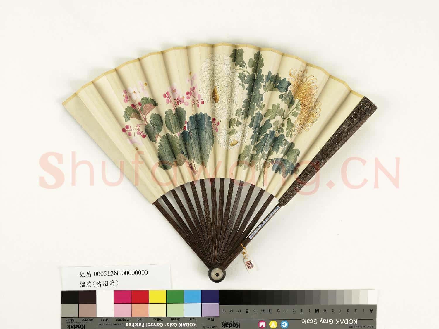 清人花卉 成扇