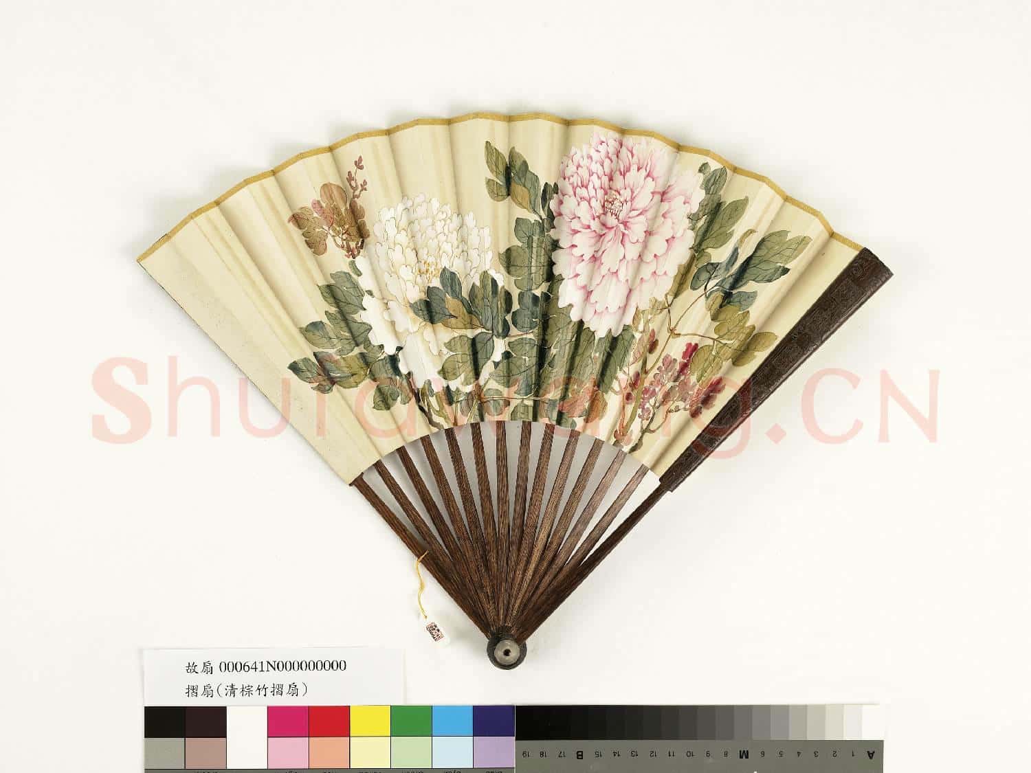 清人花卉 成扇