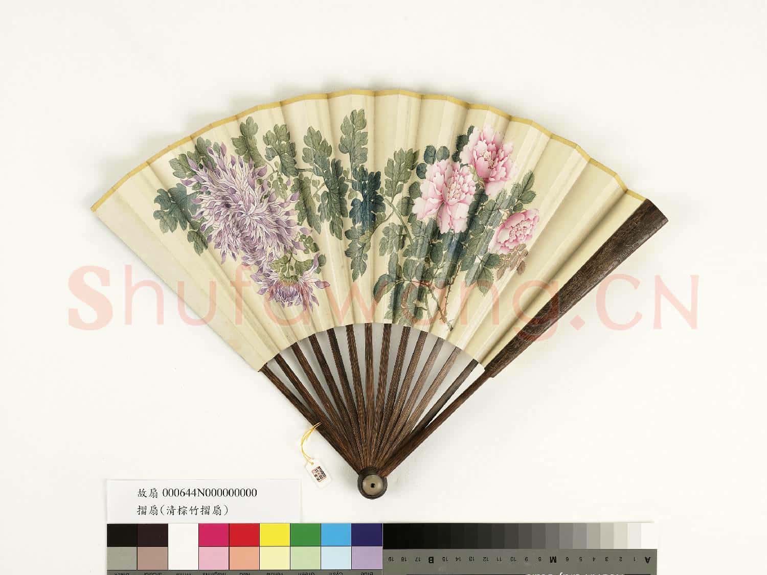 清人花卉 成扇