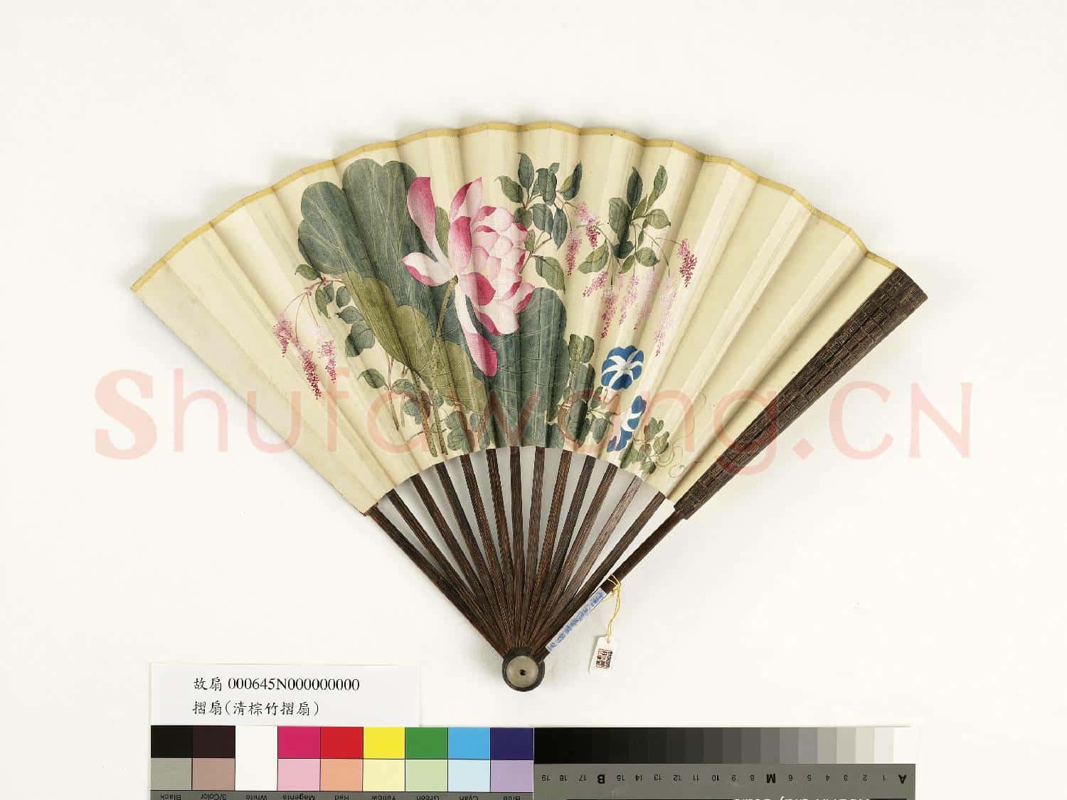 清人花卉 成扇