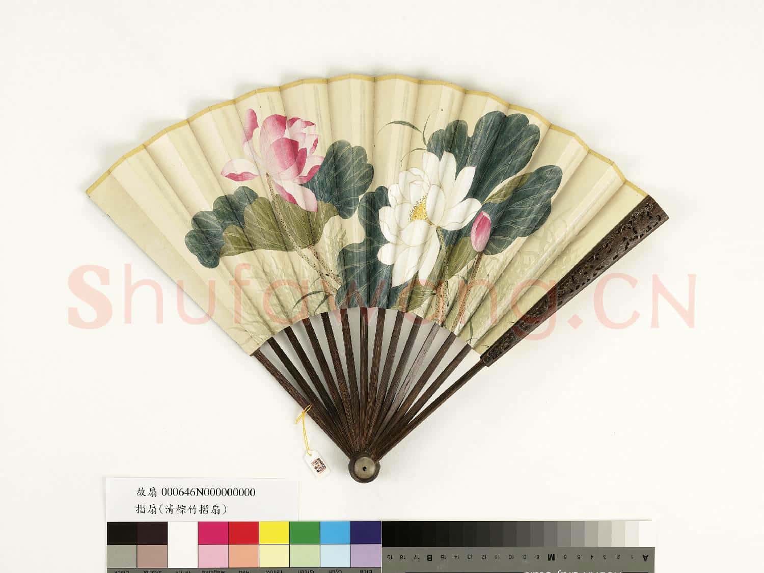 清人花卉 成扇