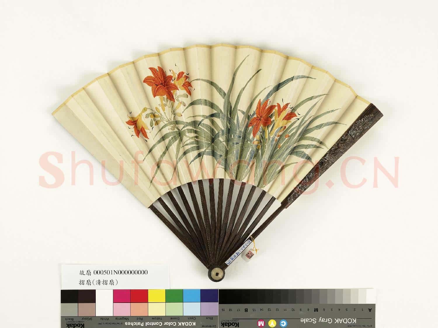 清人花卉 成扇