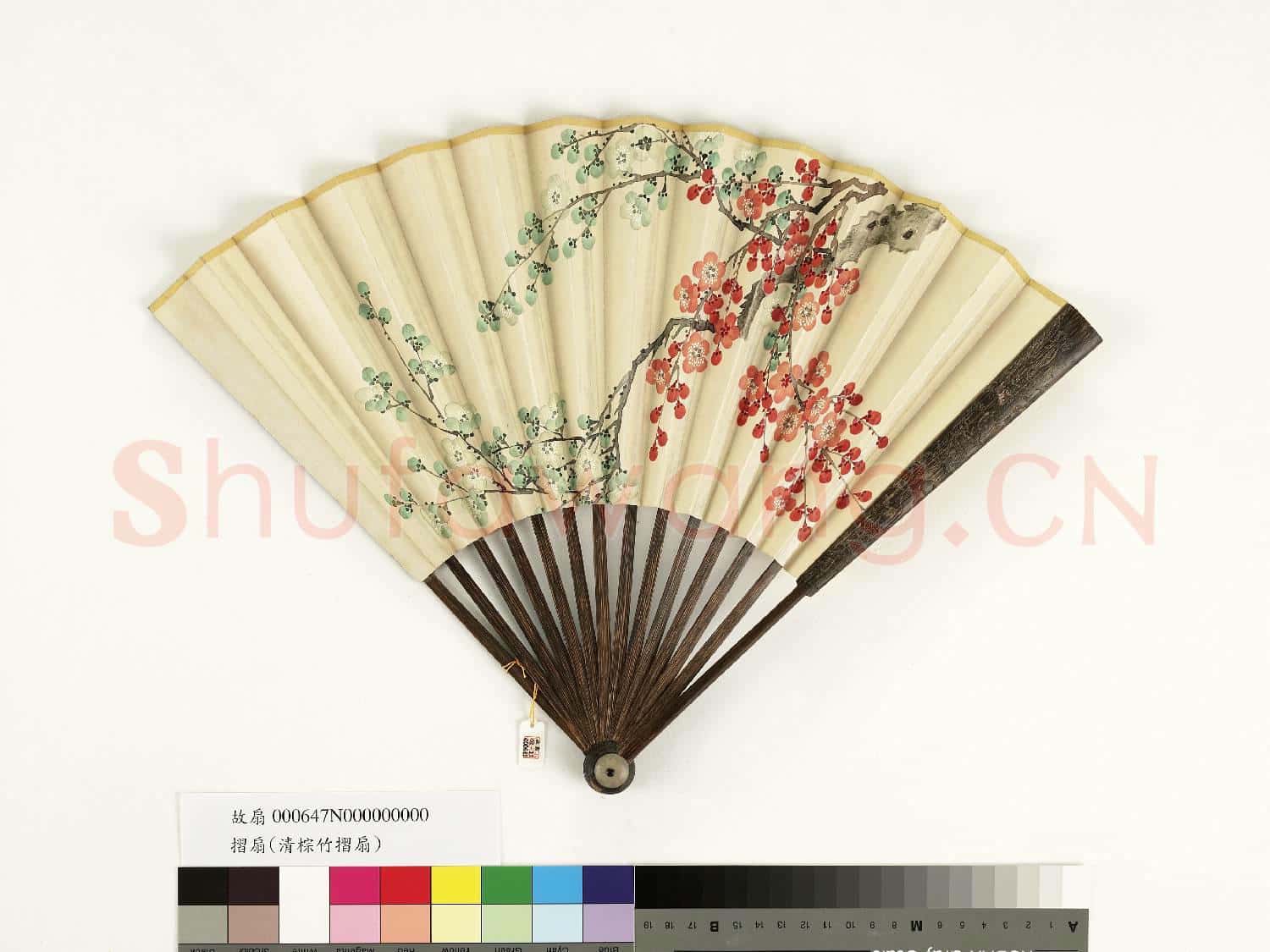 清人花卉 成扇