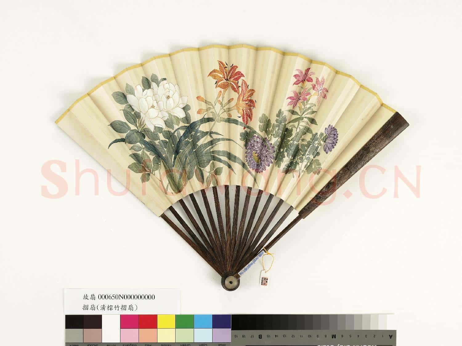 清人花卉 成扇