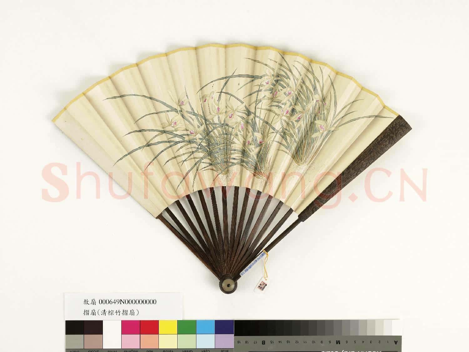 清人花卉 成扇