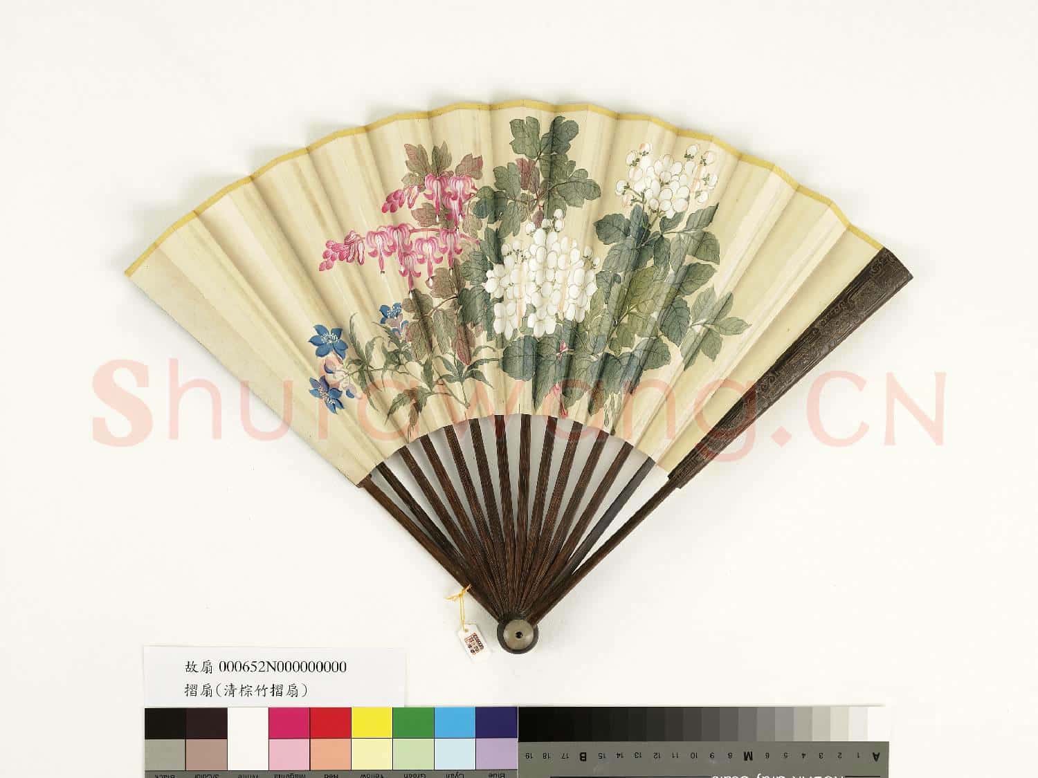 清人花卉 成扇