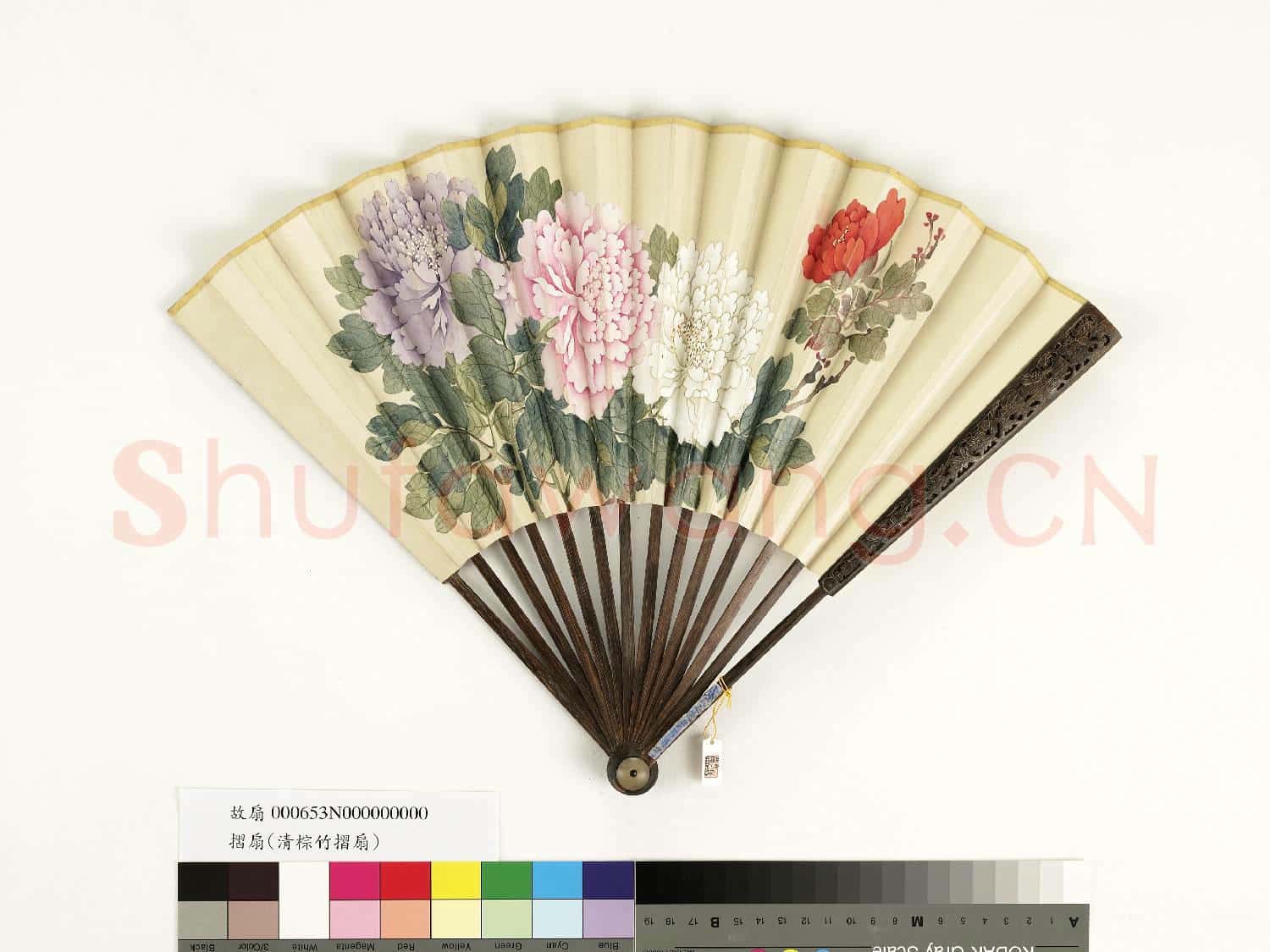 清人花卉 成扇