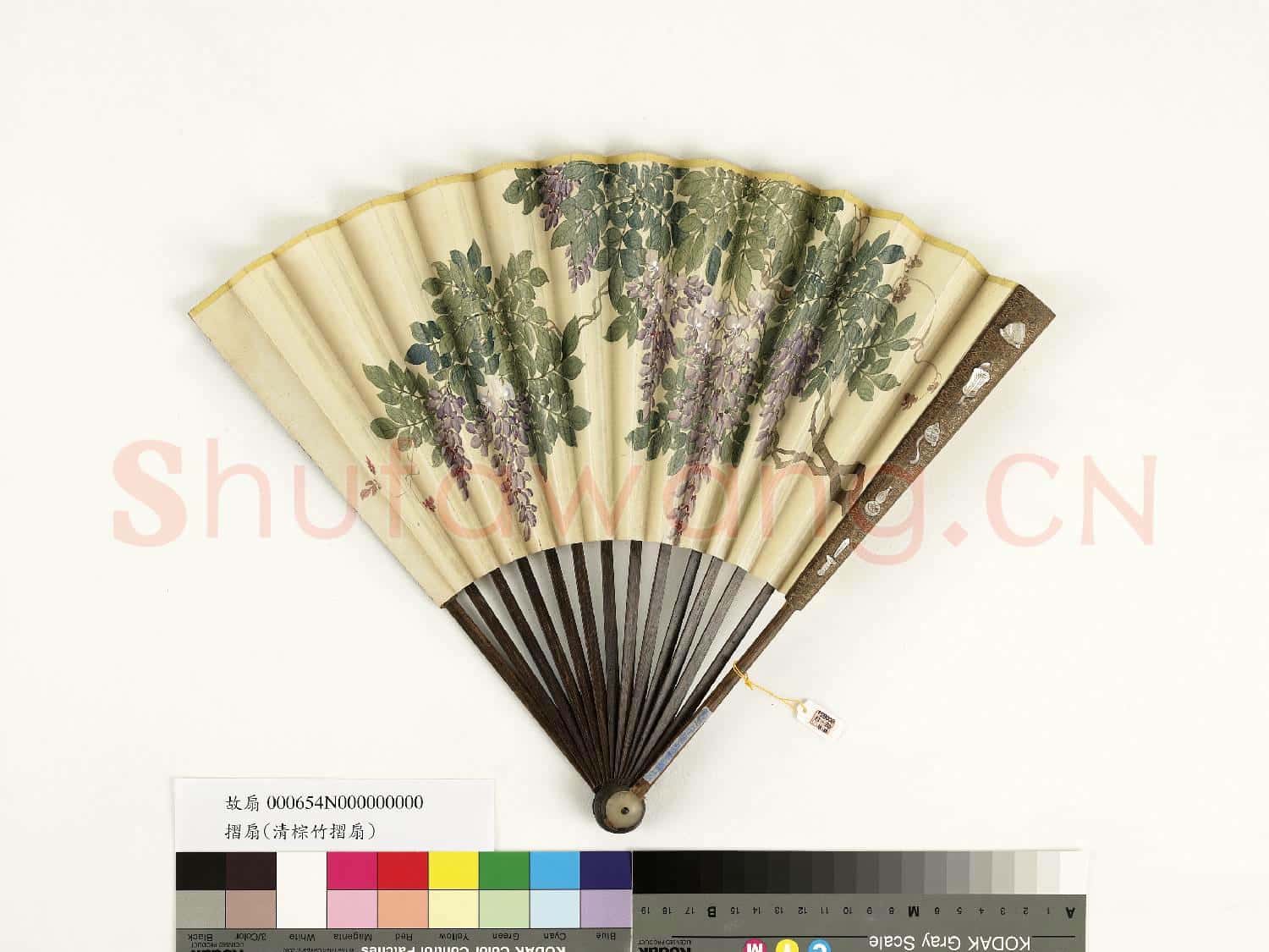 清人花卉 成扇