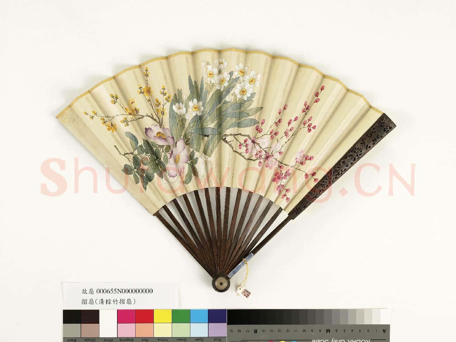 清人花卉 成扇