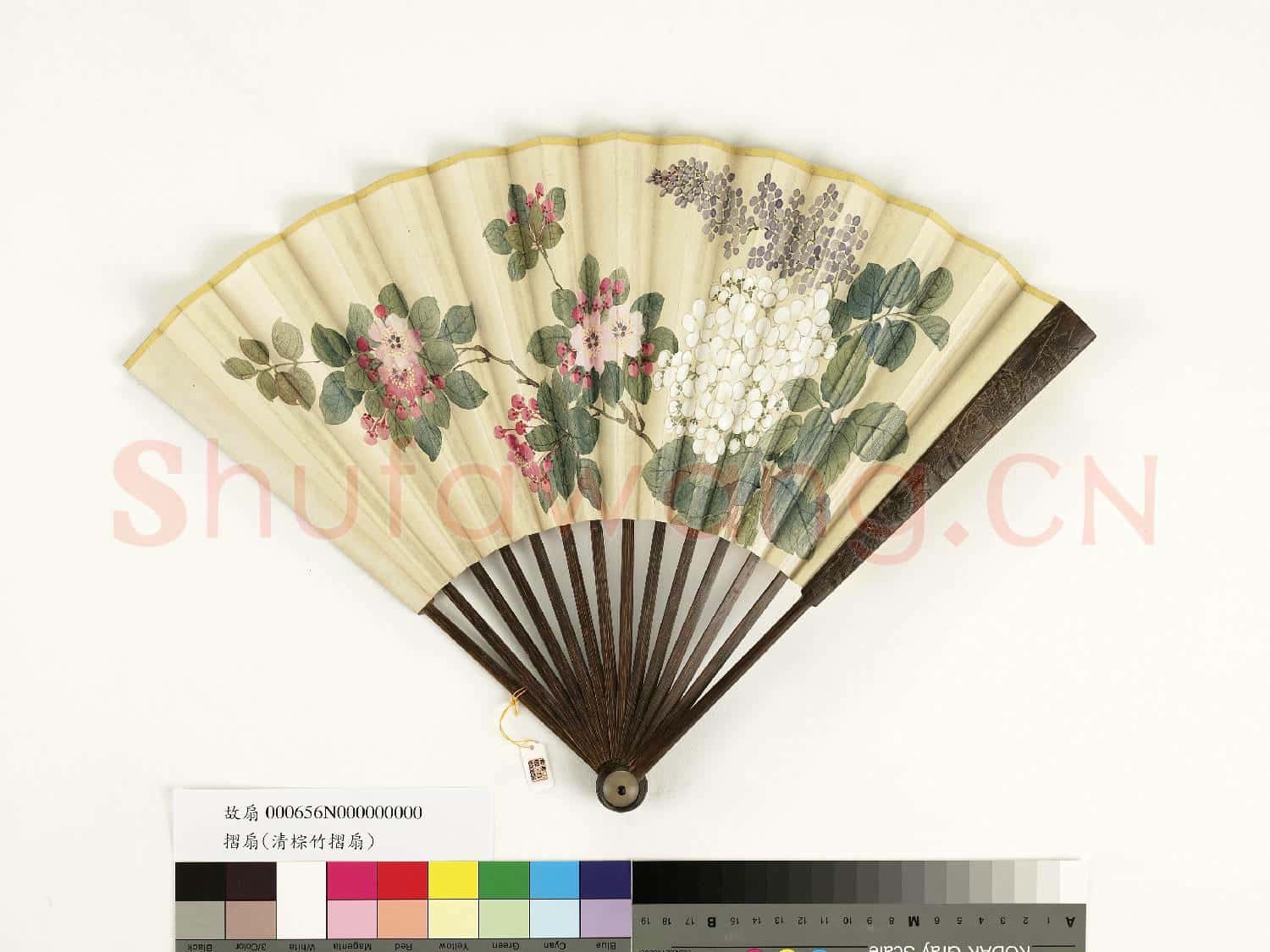 清人花卉 成扇