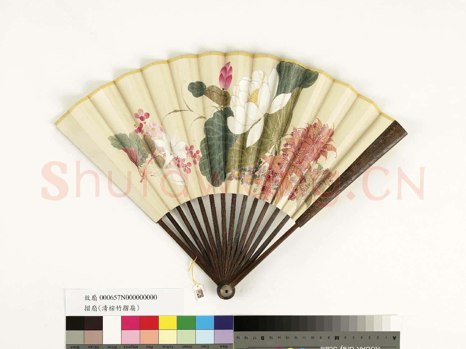 清人花卉 成扇