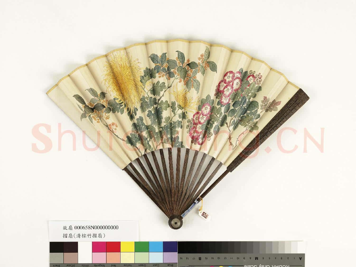清人花卉 成扇