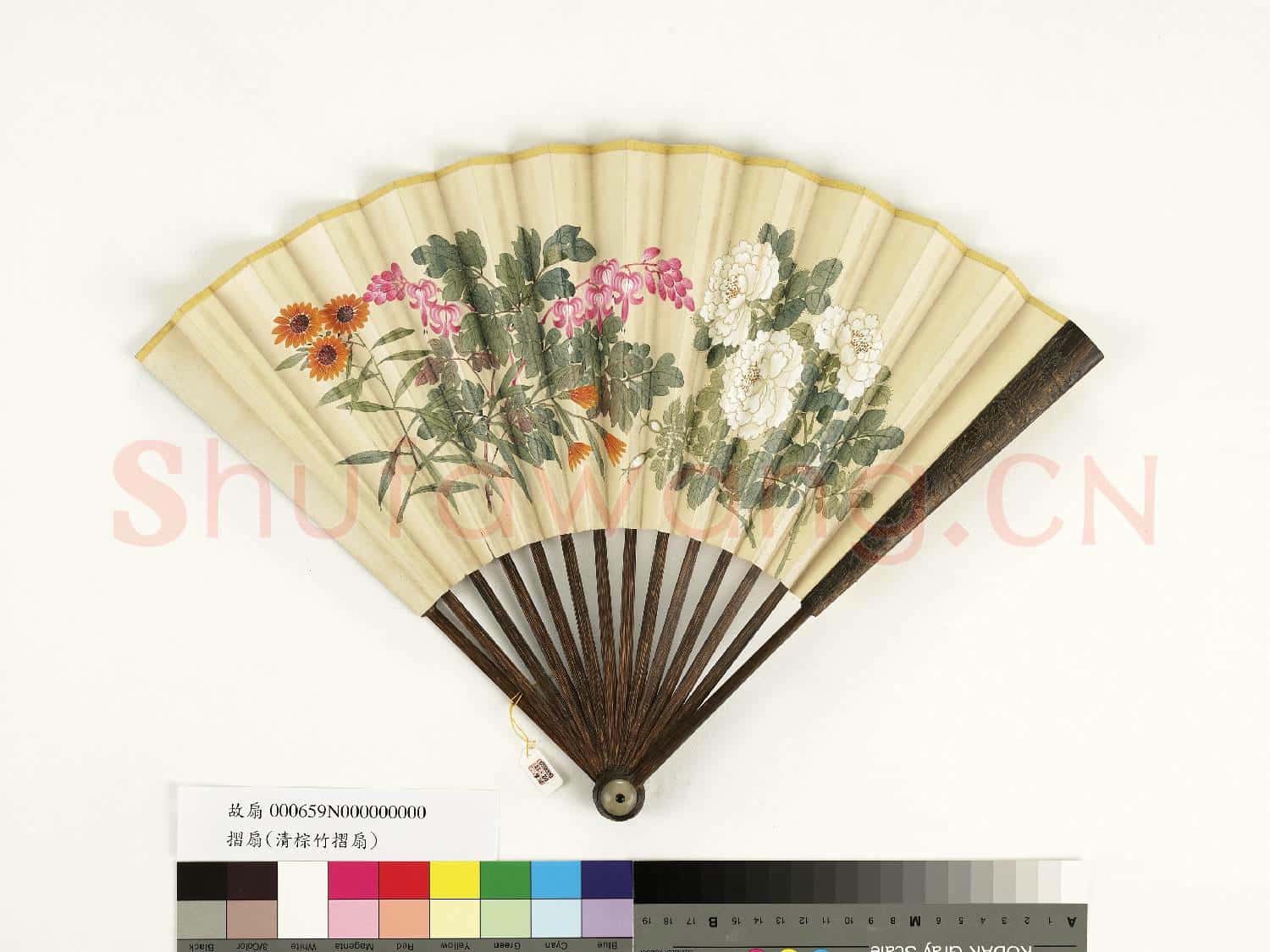 清人花卉 成扇