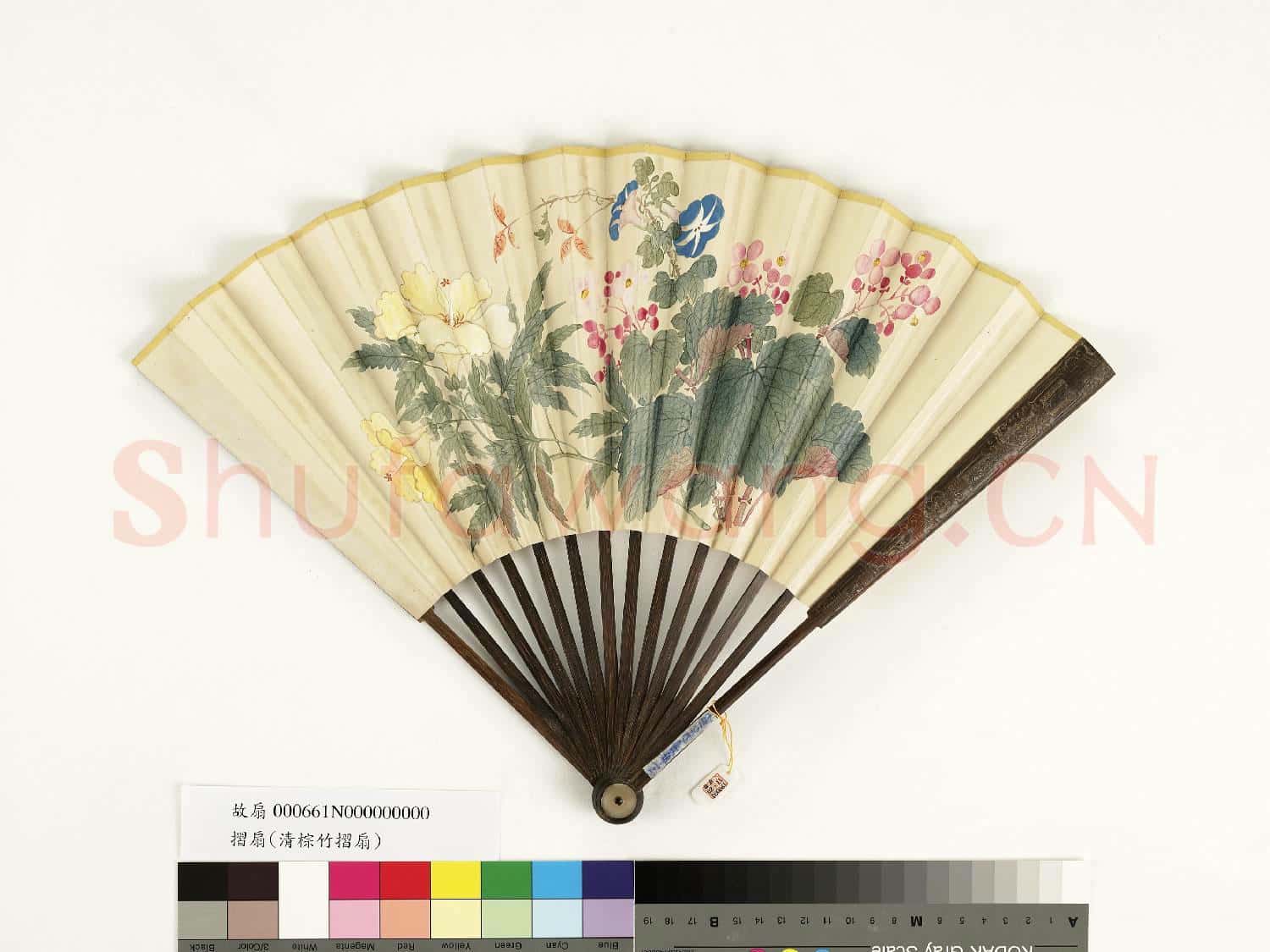 清人花卉 成扇