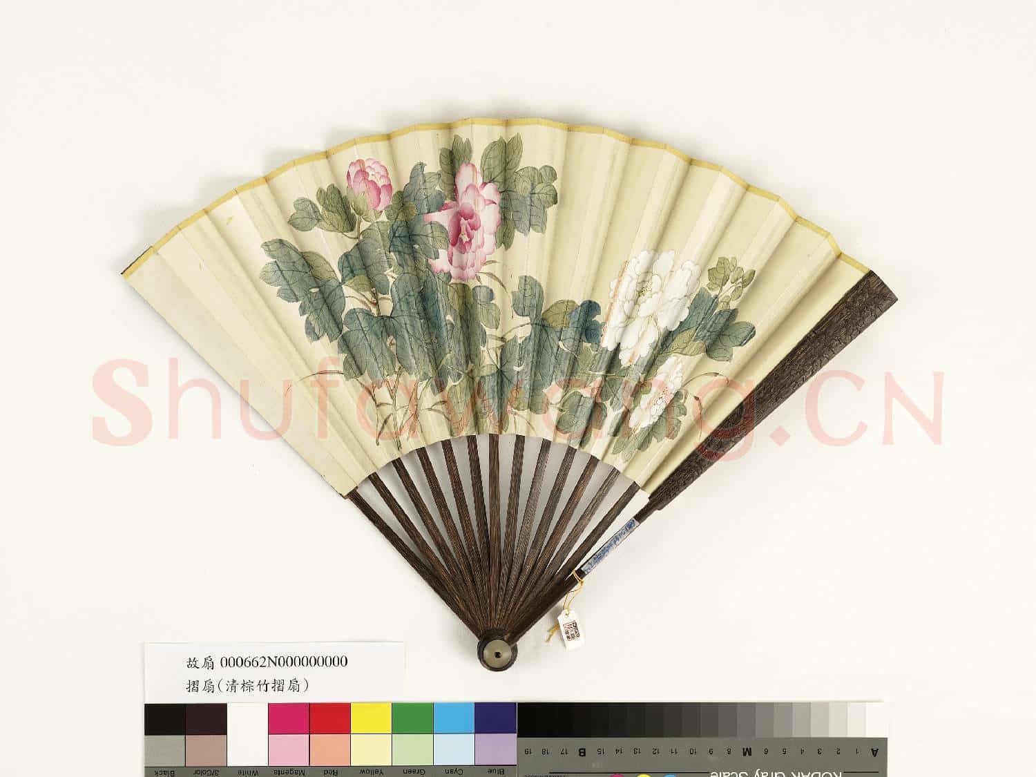 清人花卉 成扇