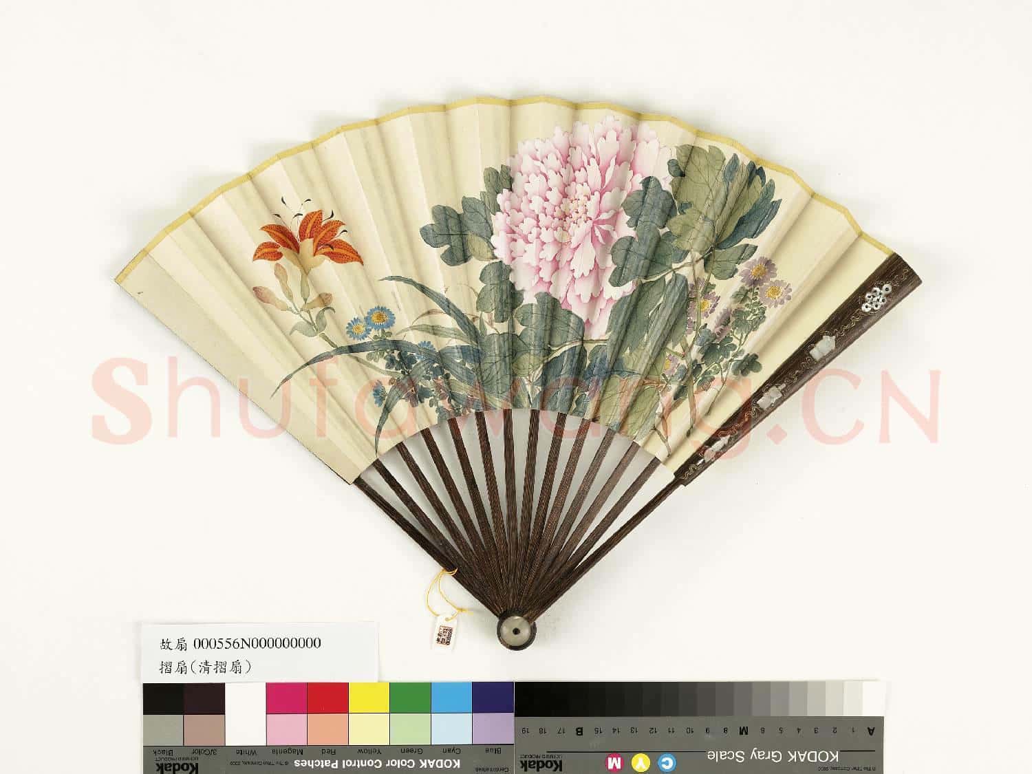 清人花卉 成扇