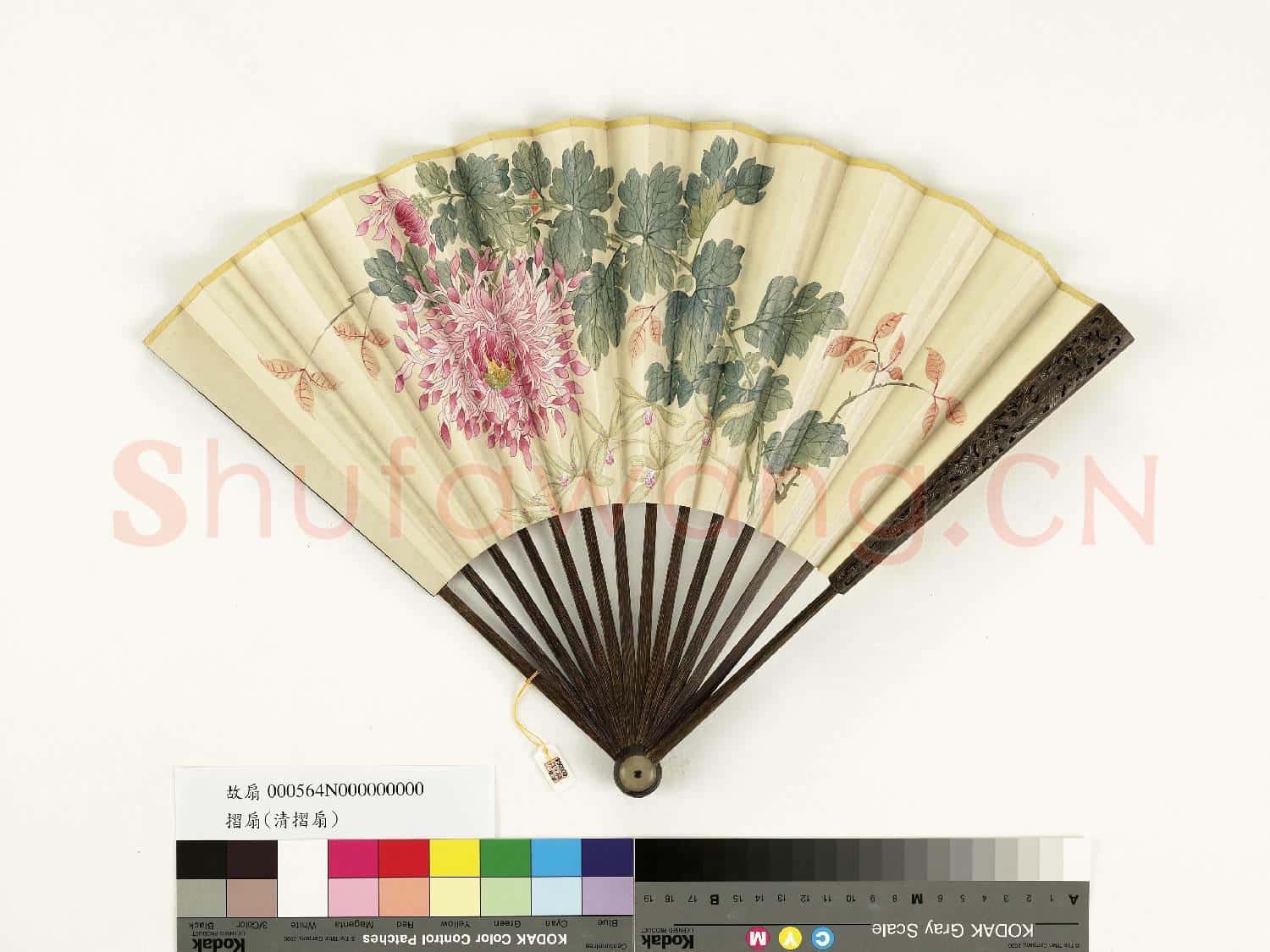清人花卉 成扇
