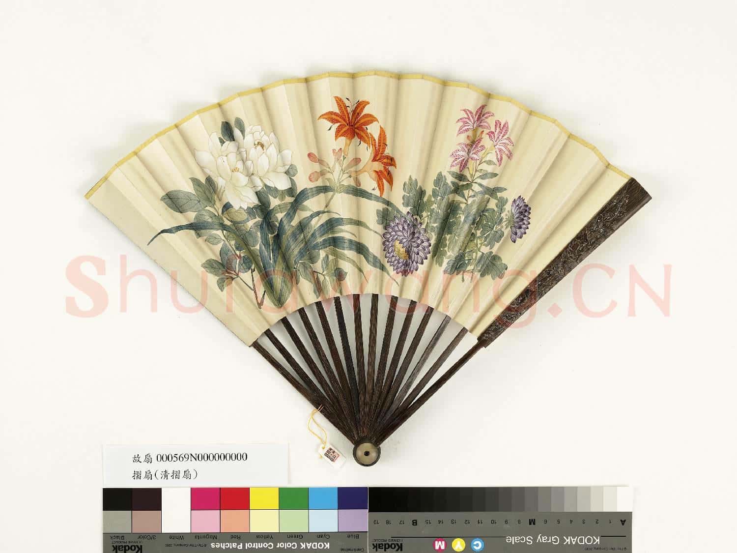 清人花卉 成扇