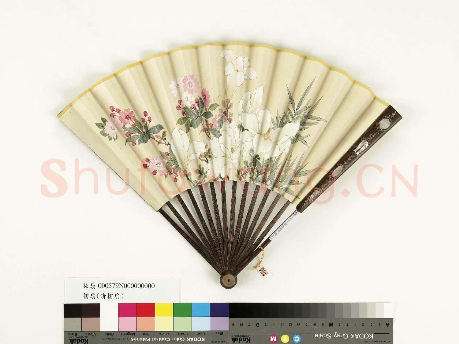 清人花卉 成扇