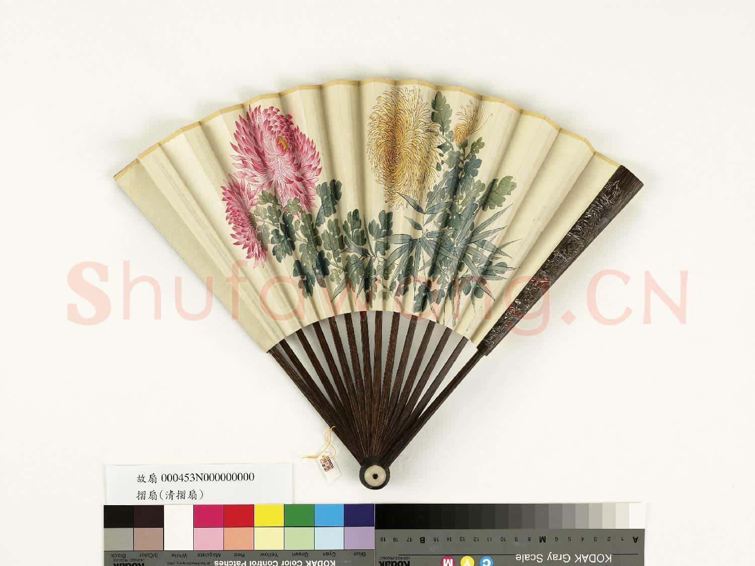 清人花卉 成扇