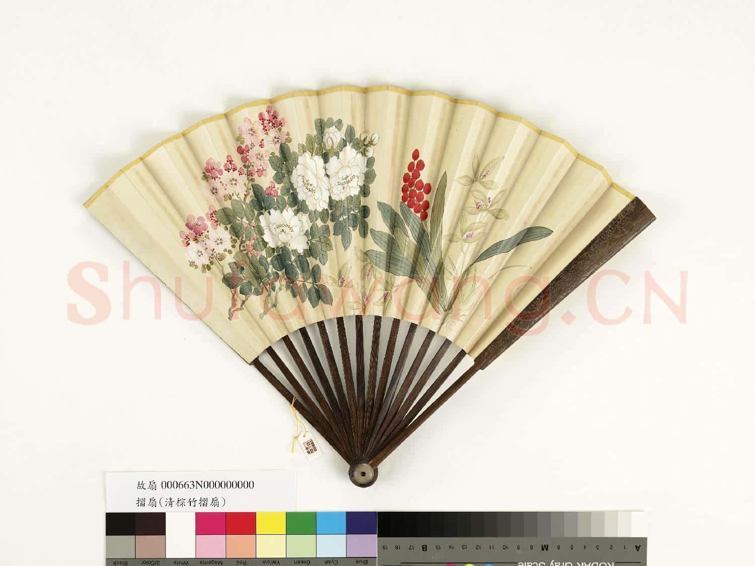 清人花卉 成扇