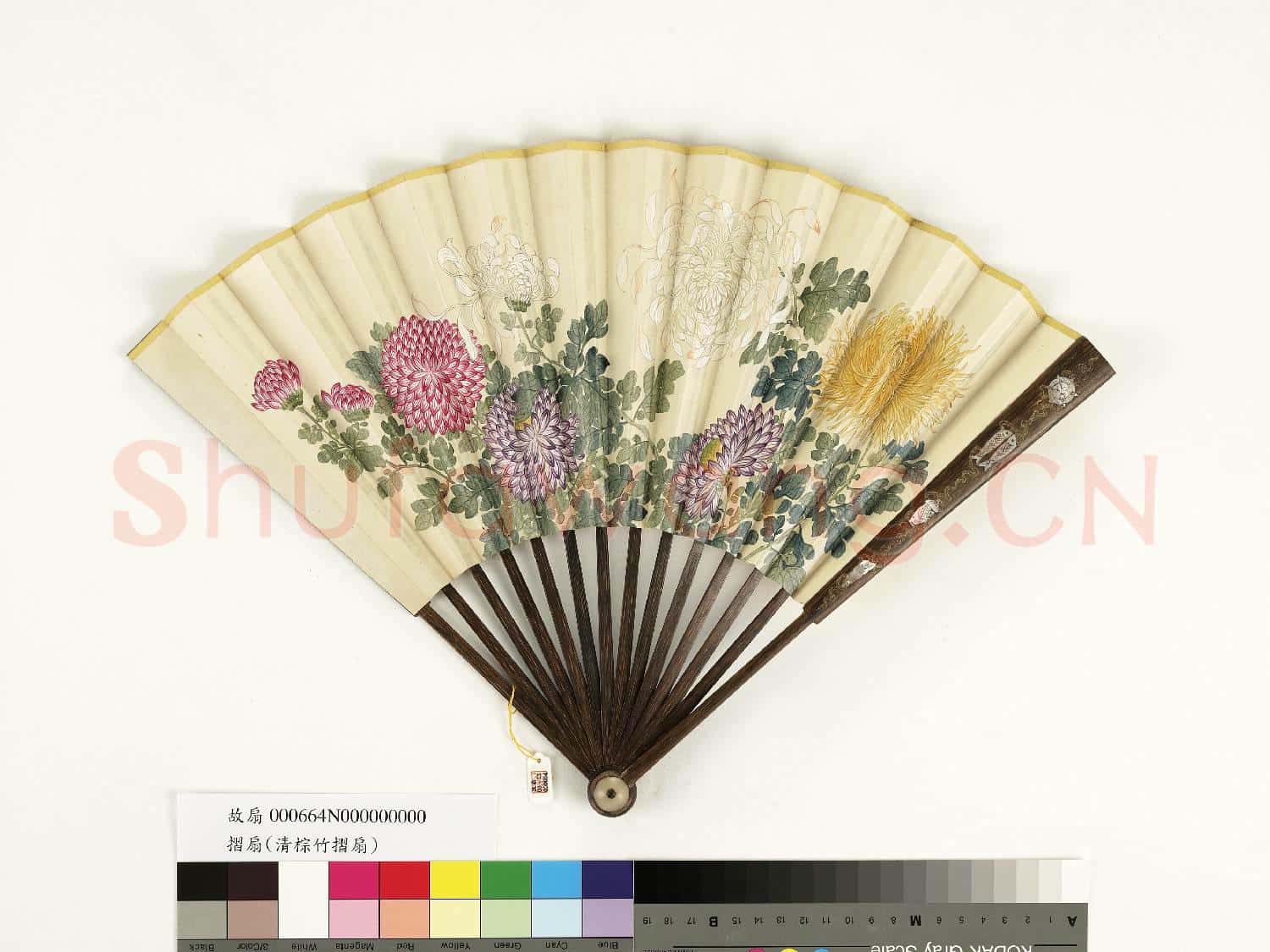 清人花卉 成扇