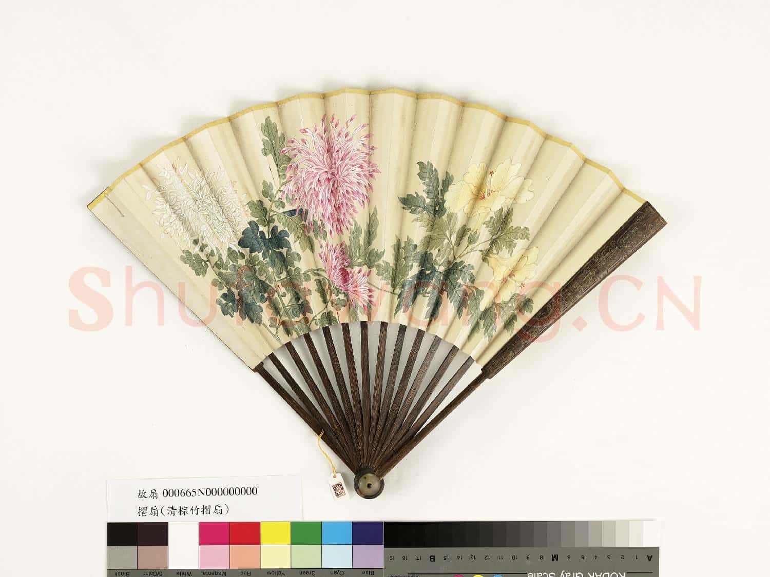 清人花卉 成扇
