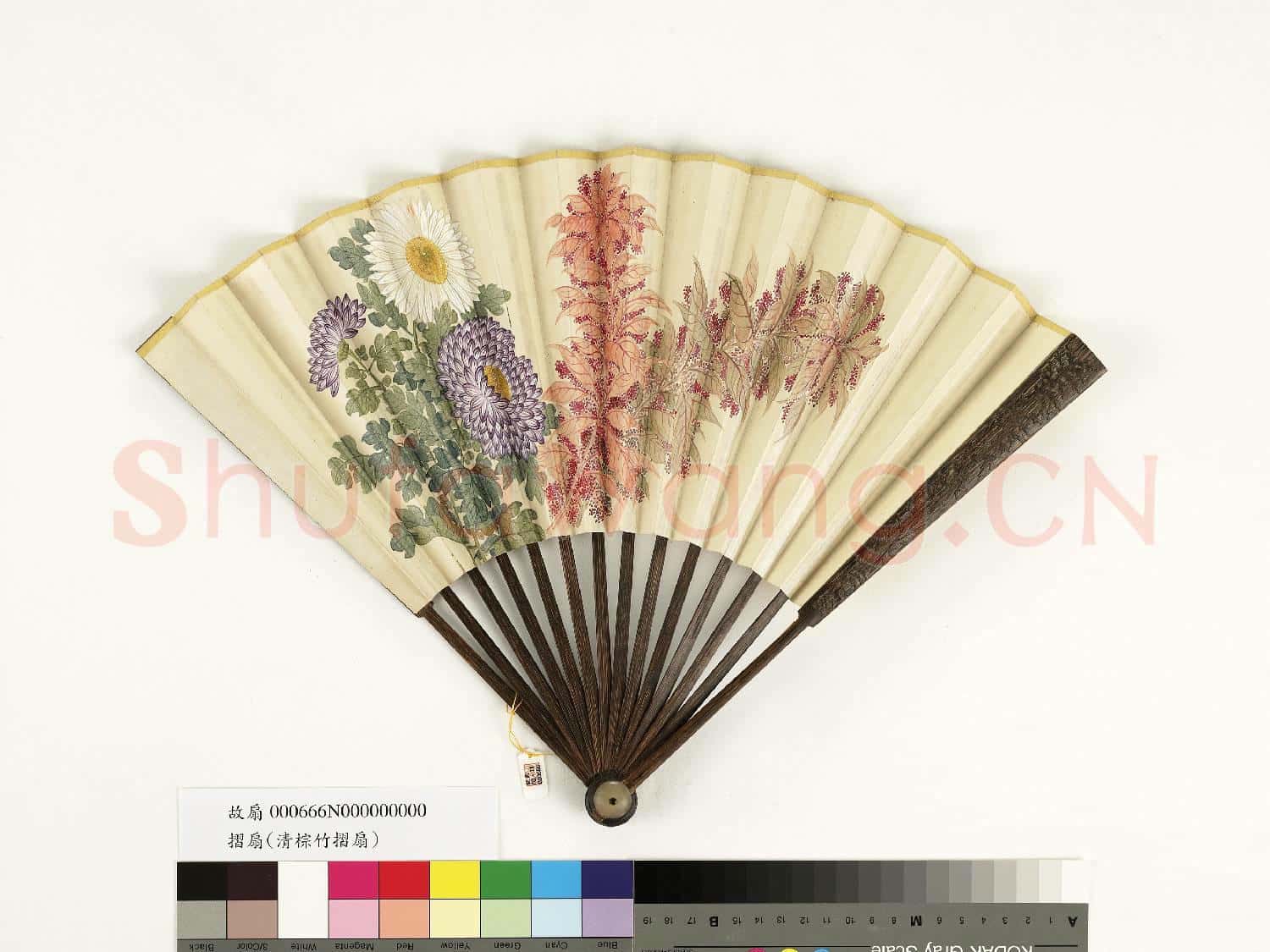 清人花卉 成扇