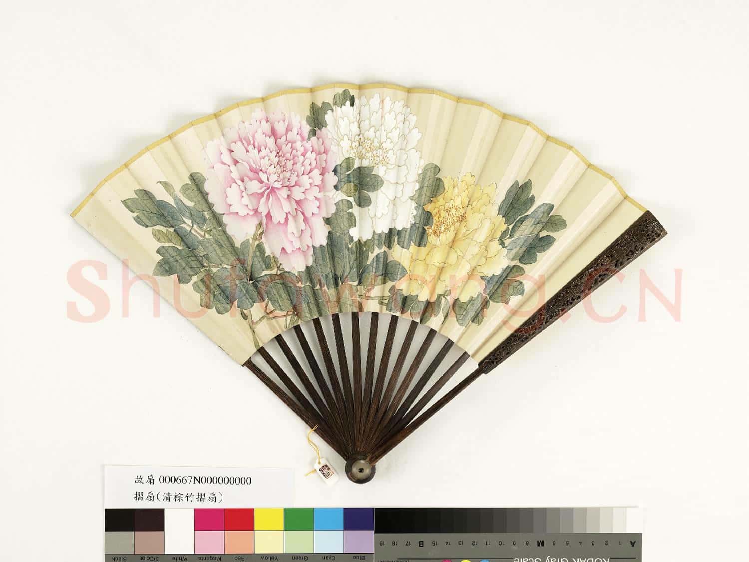 清人花卉 成扇