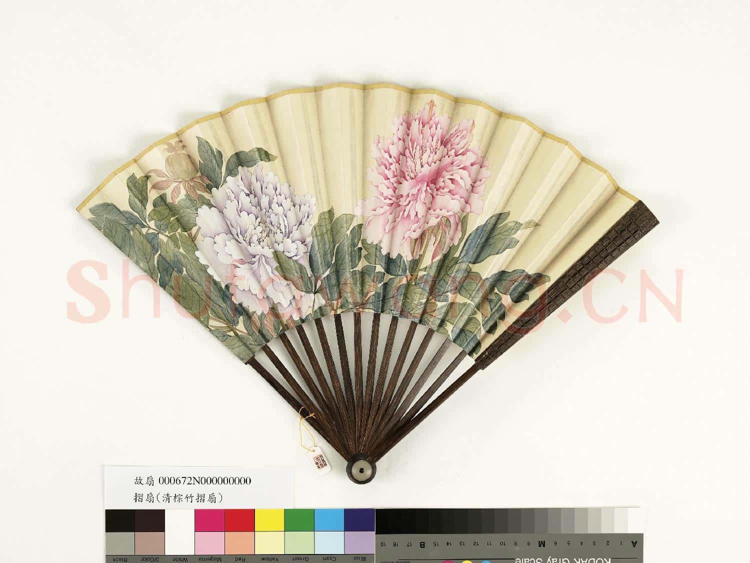 清人花卉 成扇