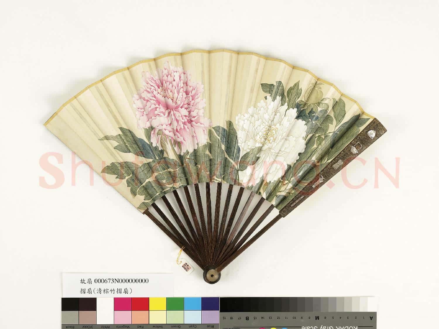 清人花卉 成扇