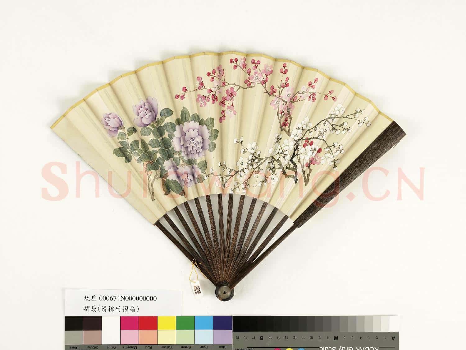 清人花卉 成扇