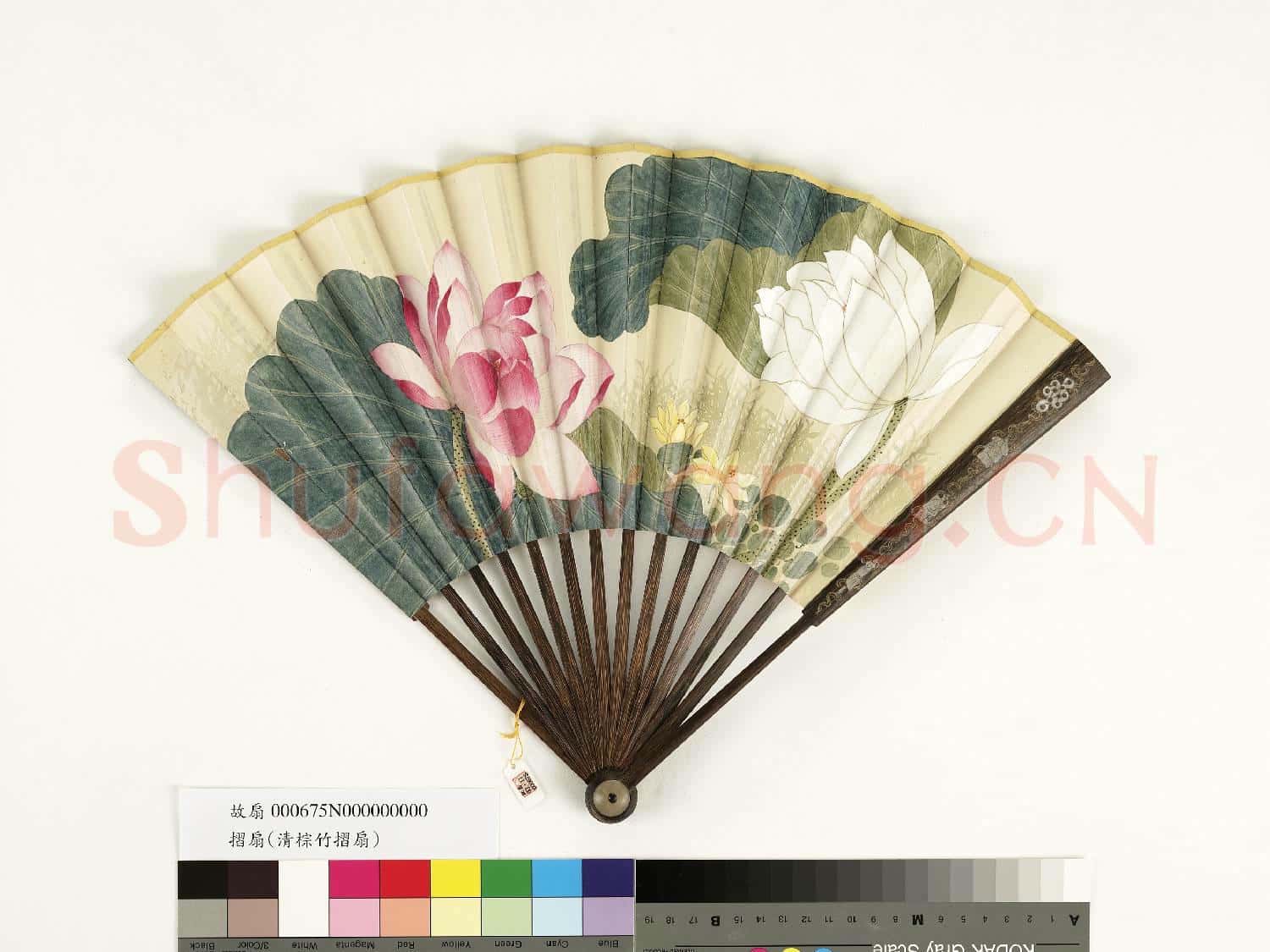 清人花卉 成扇