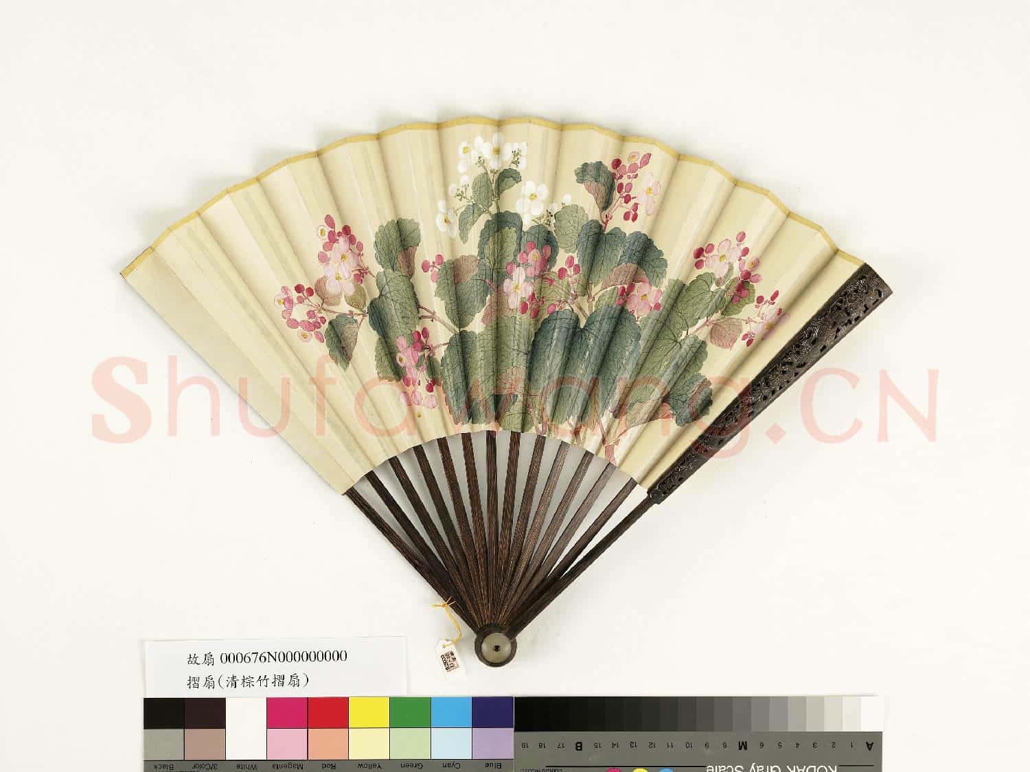 清人花卉 成扇