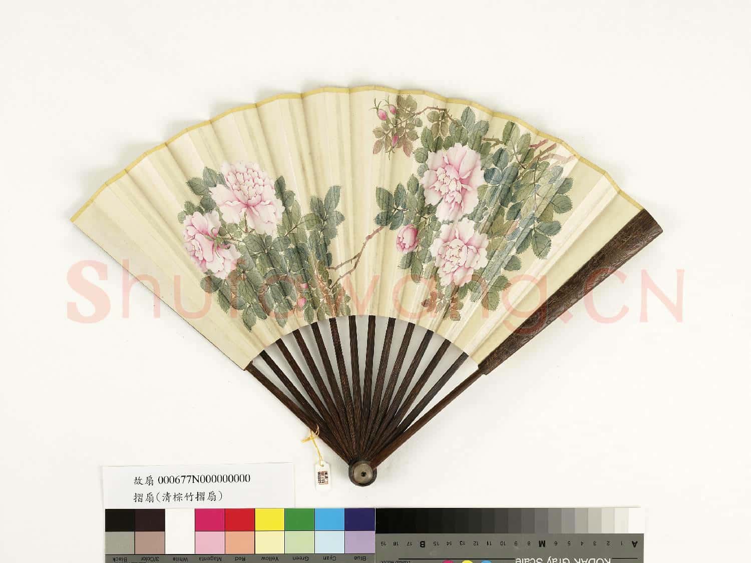 清人花卉 成扇