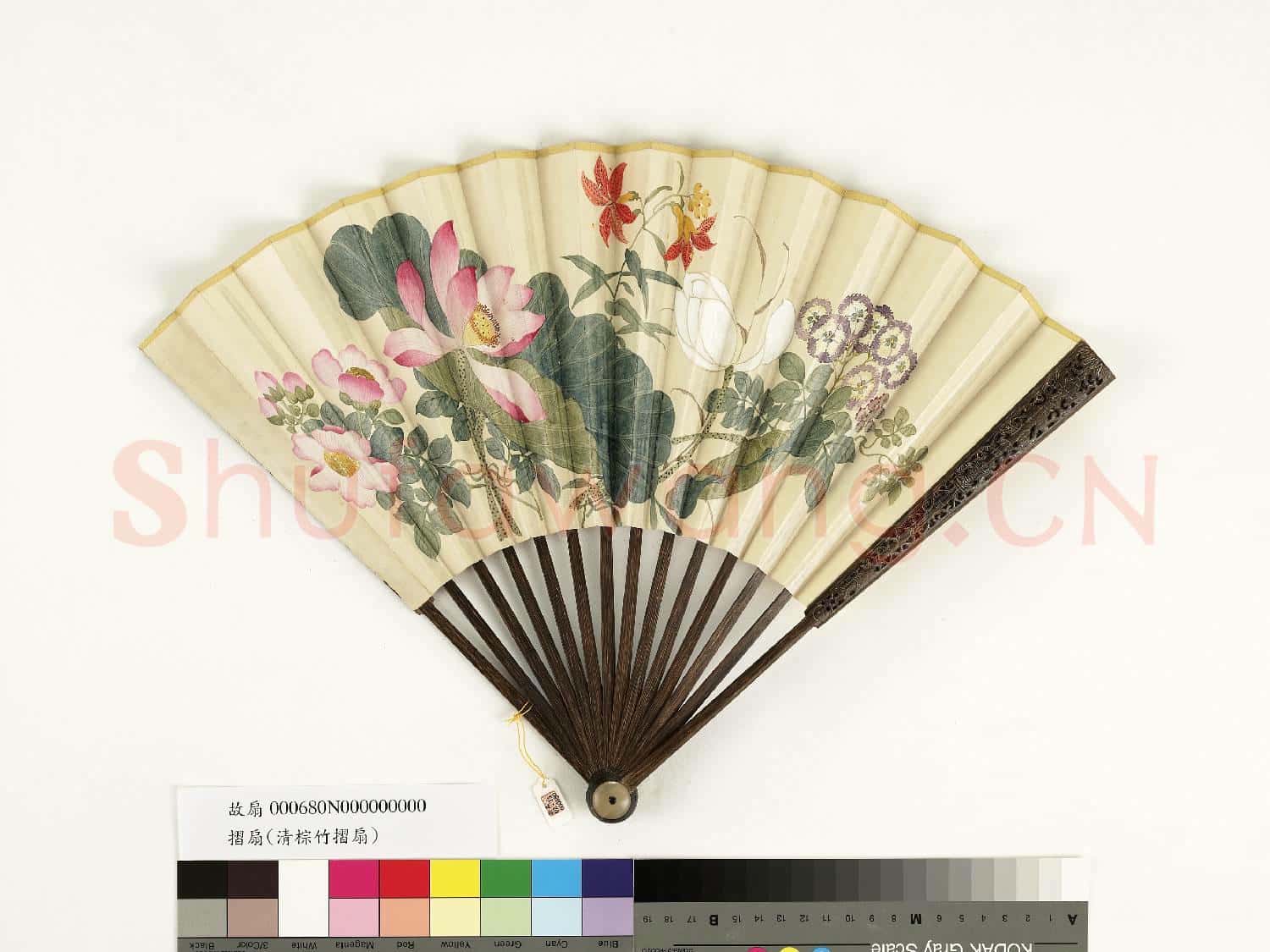 清人花卉 成扇