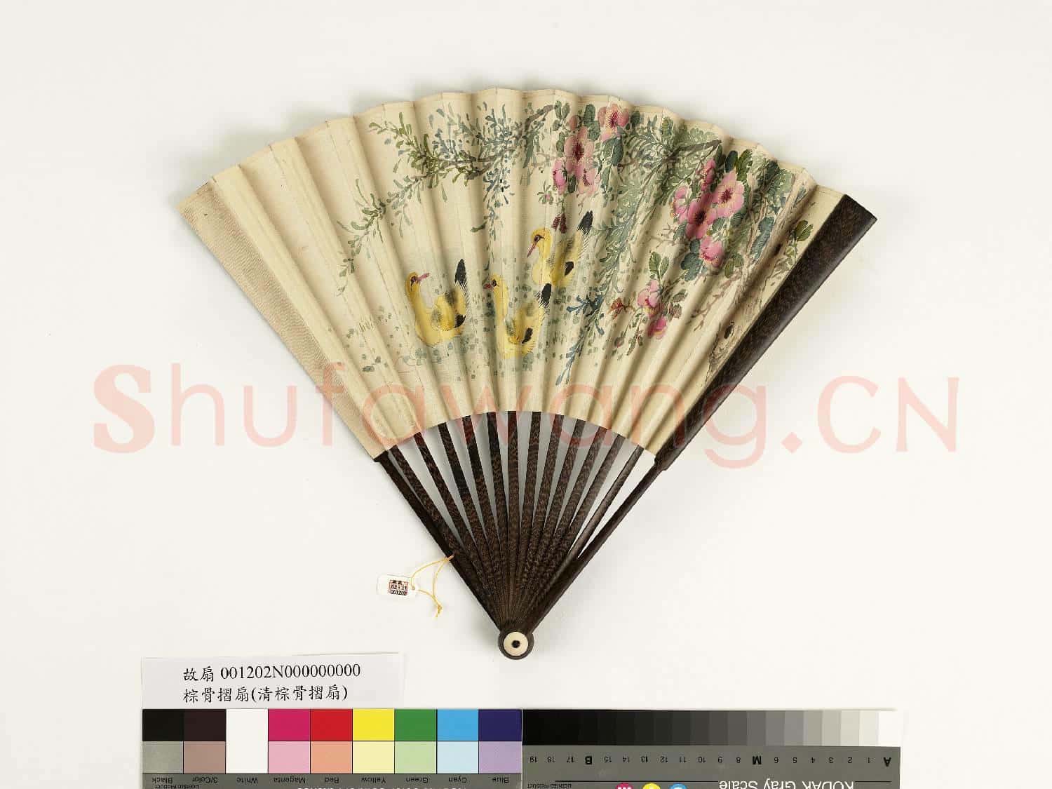 清人花鳥 成扇