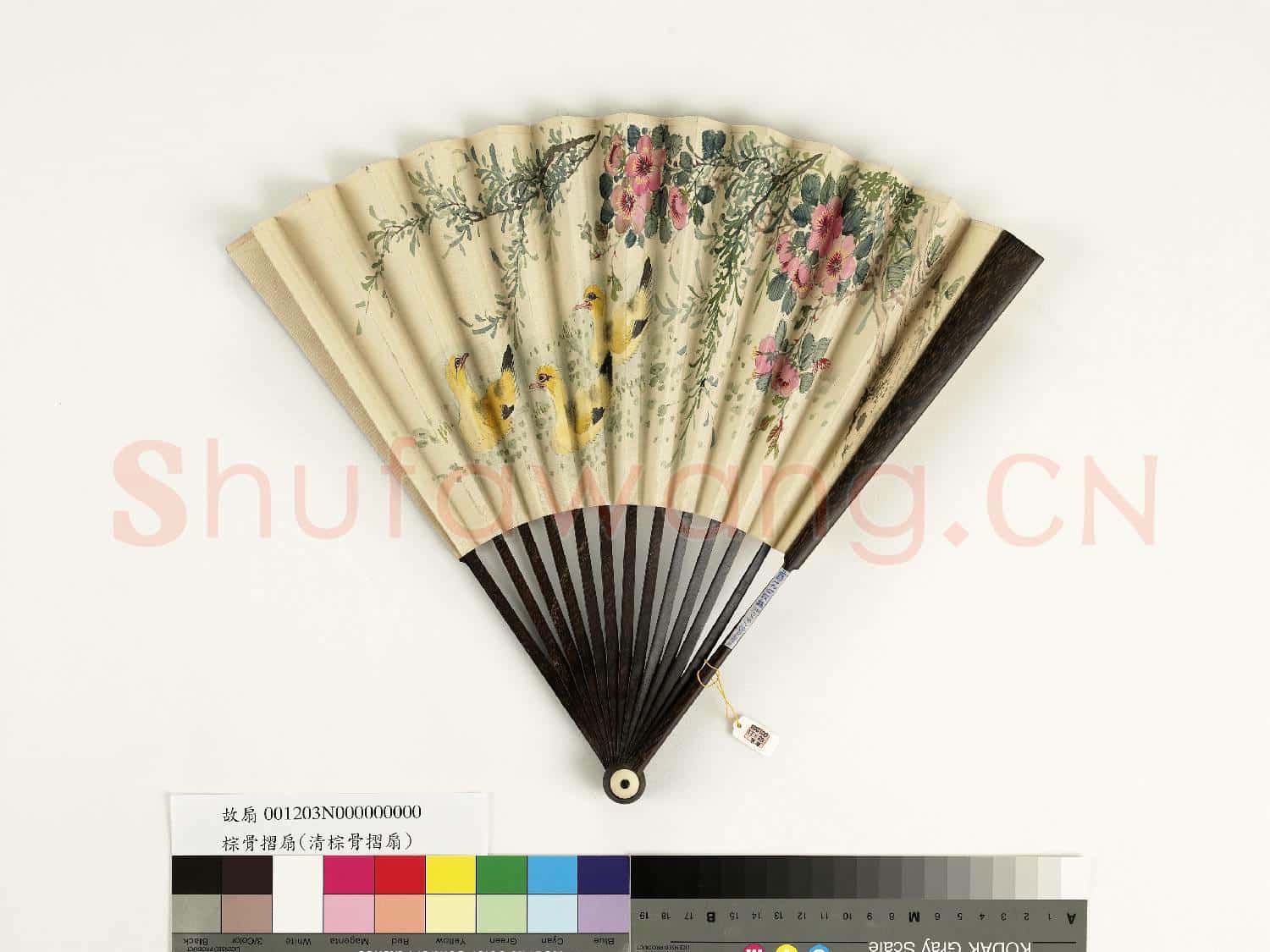 清人花鳥 成扇