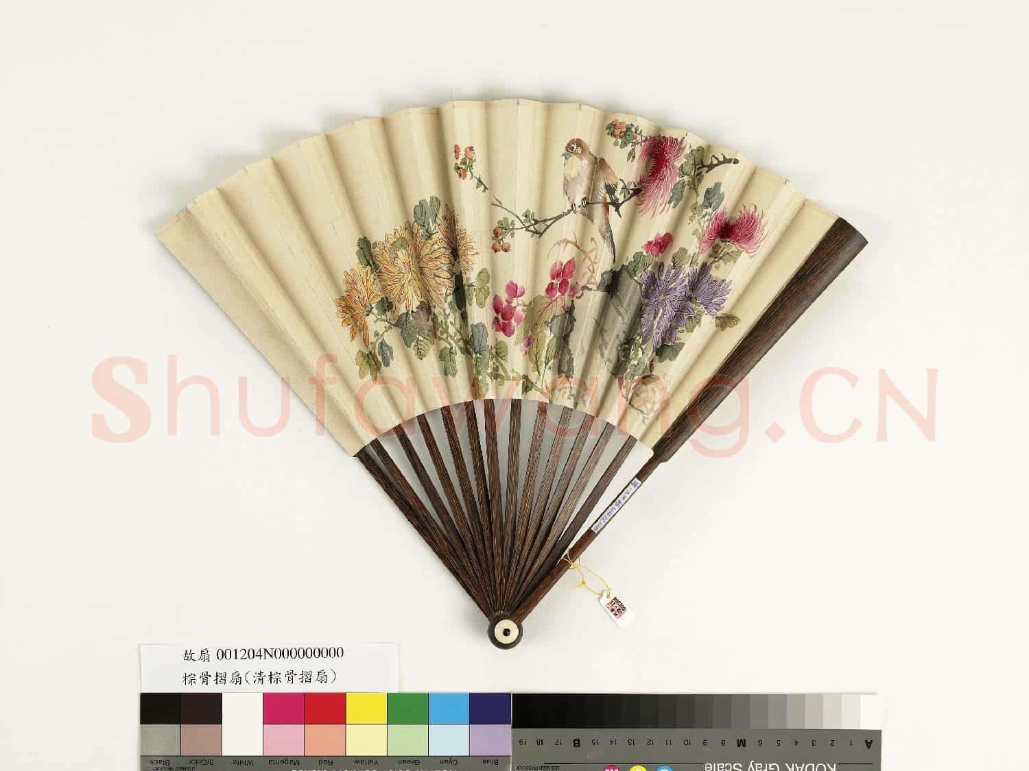 清人花鳥 成扇