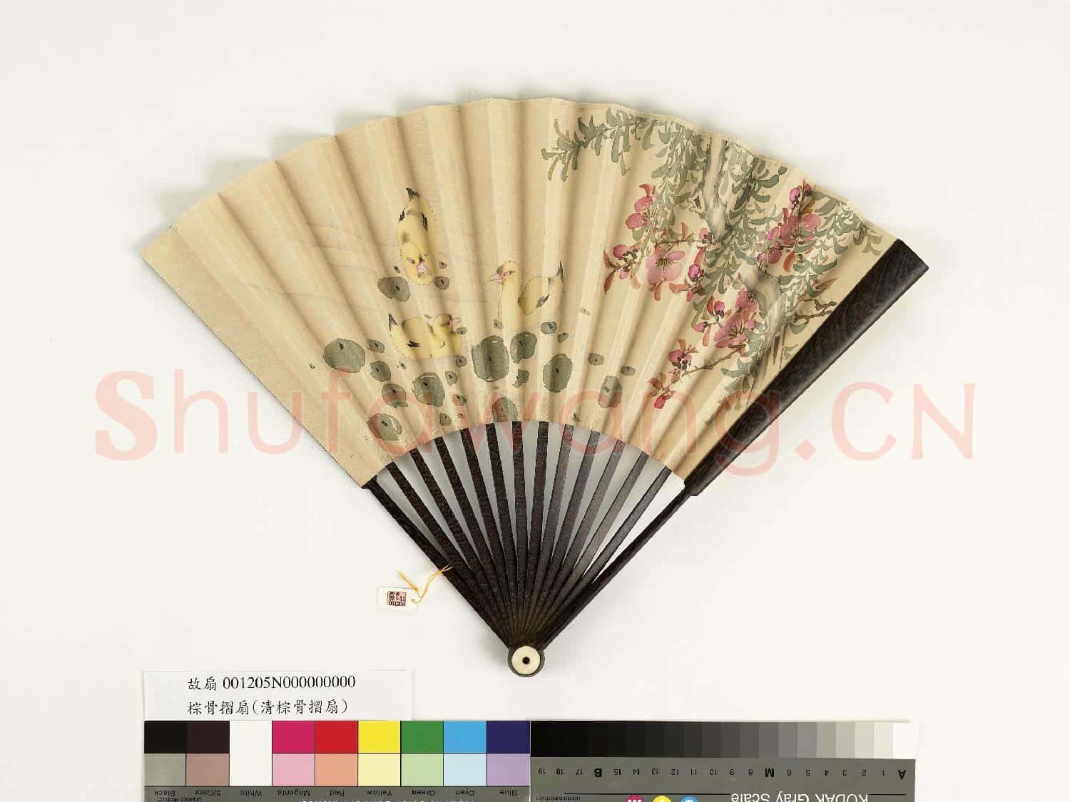 清人花鳥 成扇