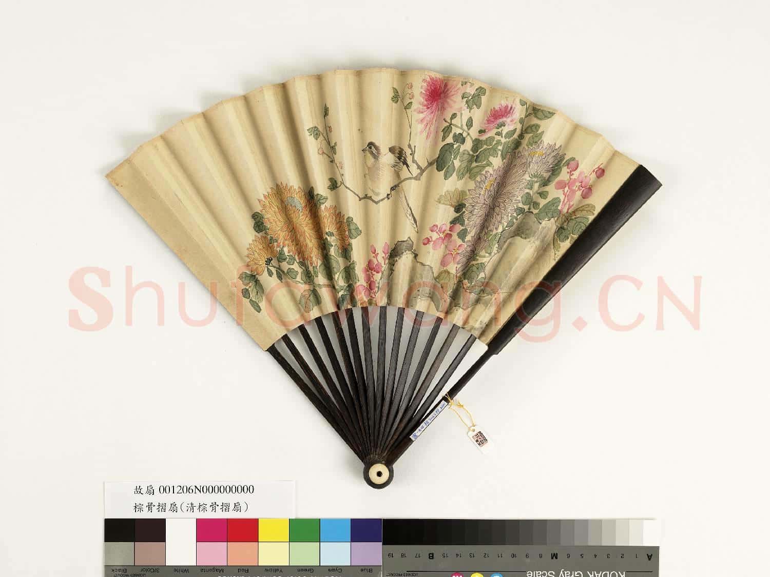 清人花鳥 成扇